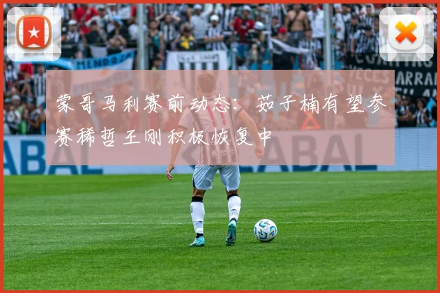 蒙哥马利赛前动态：茹子楠有望参赛稀哲王刚积极恢复中