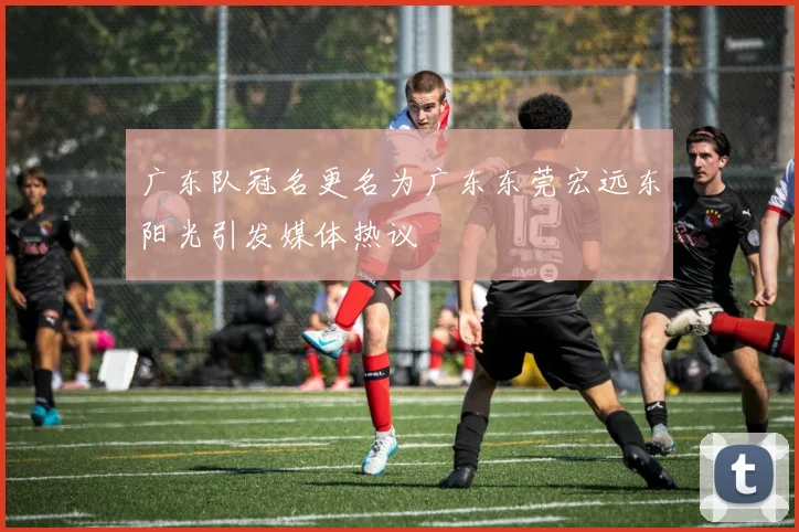 广东队冠名更名为广东东莞宏远东阳光引发媒体热议